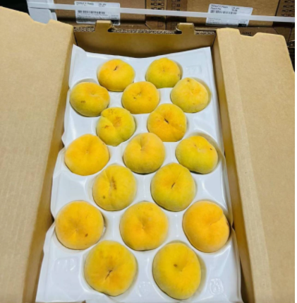 Family Tree Yellow Donut Peach 6ct 新鲜 黄色 蟠桃 扁桃 6个/份