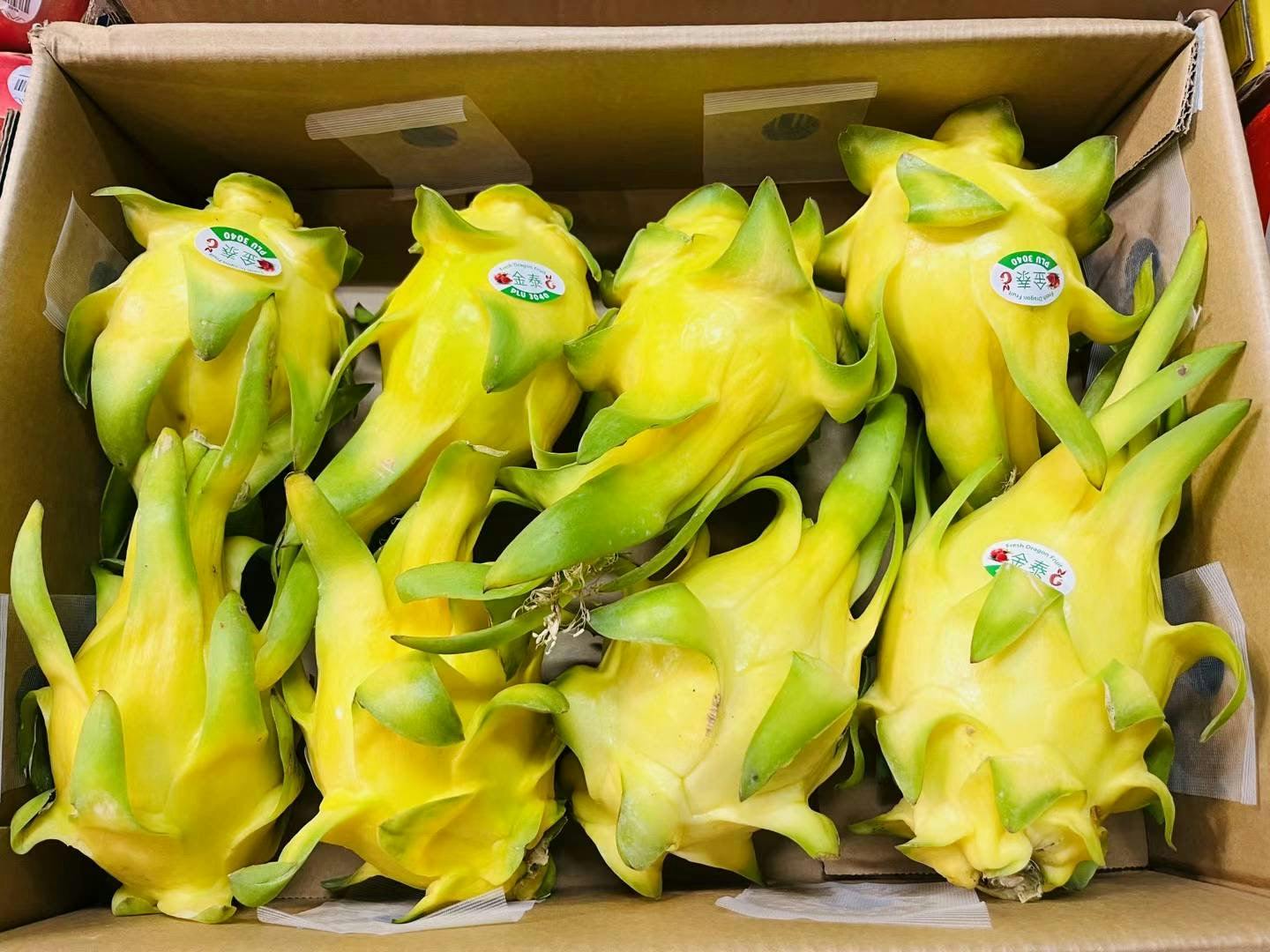 【NEW! 新到】越南空运 金泰 黄火龙果 麒麟果 Yellow Dragon Fruit 2个/份  $8.99/lb