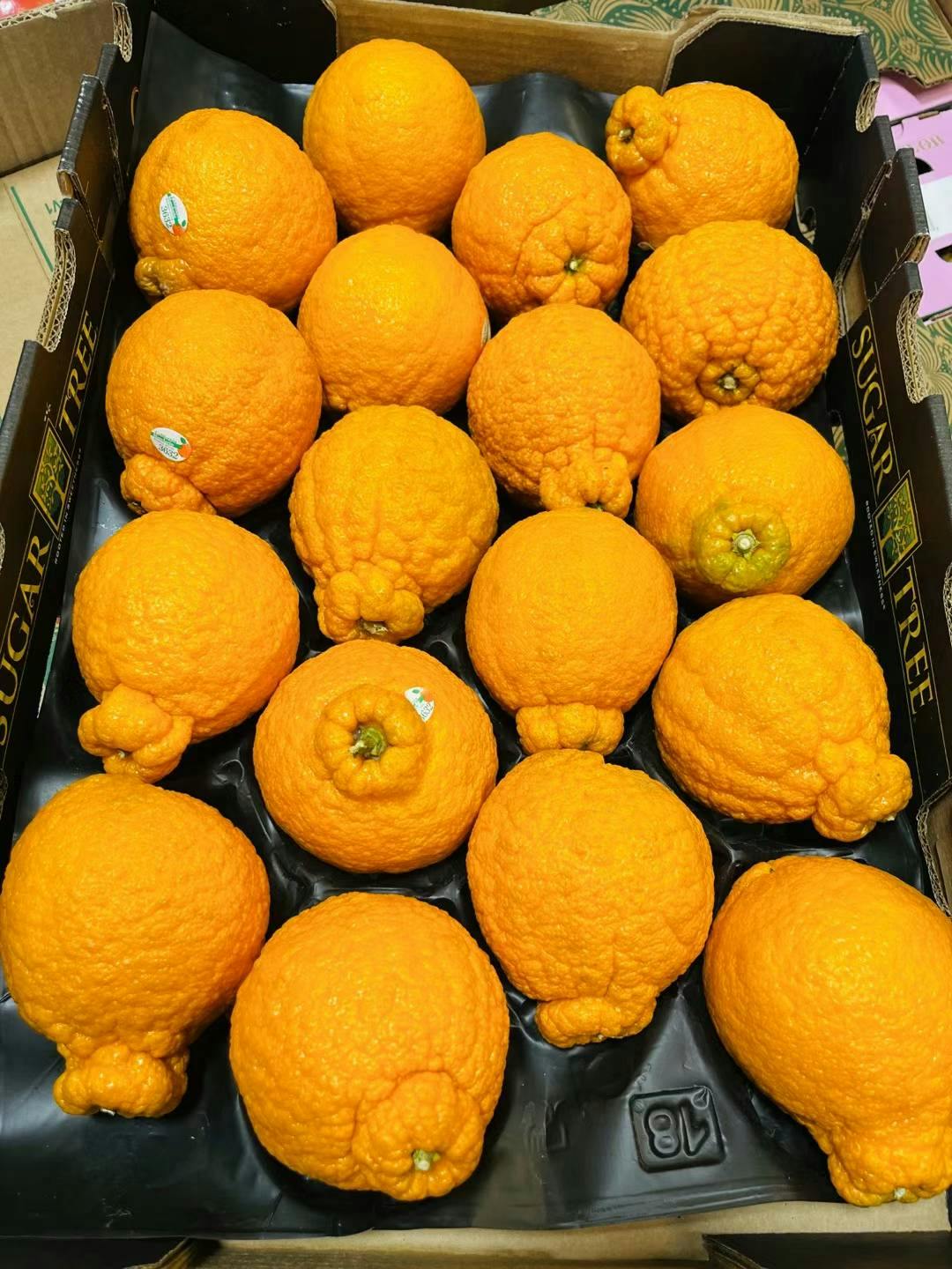 Sumo Orange 相扑橘  4个/份  每份4lb 左右