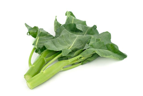 唐芥兰 芥蓝 Chinese Broccoli Gai Lan