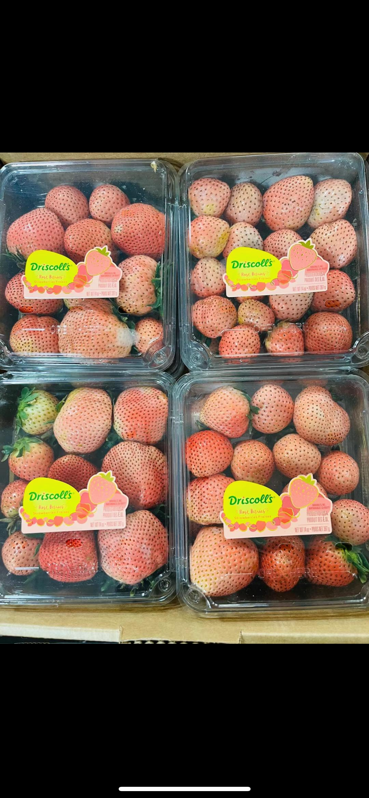Rose strawberries 2pack