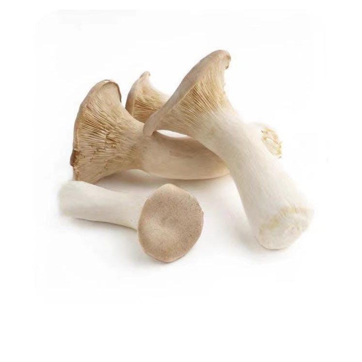King Oyster Mushrooms 170g