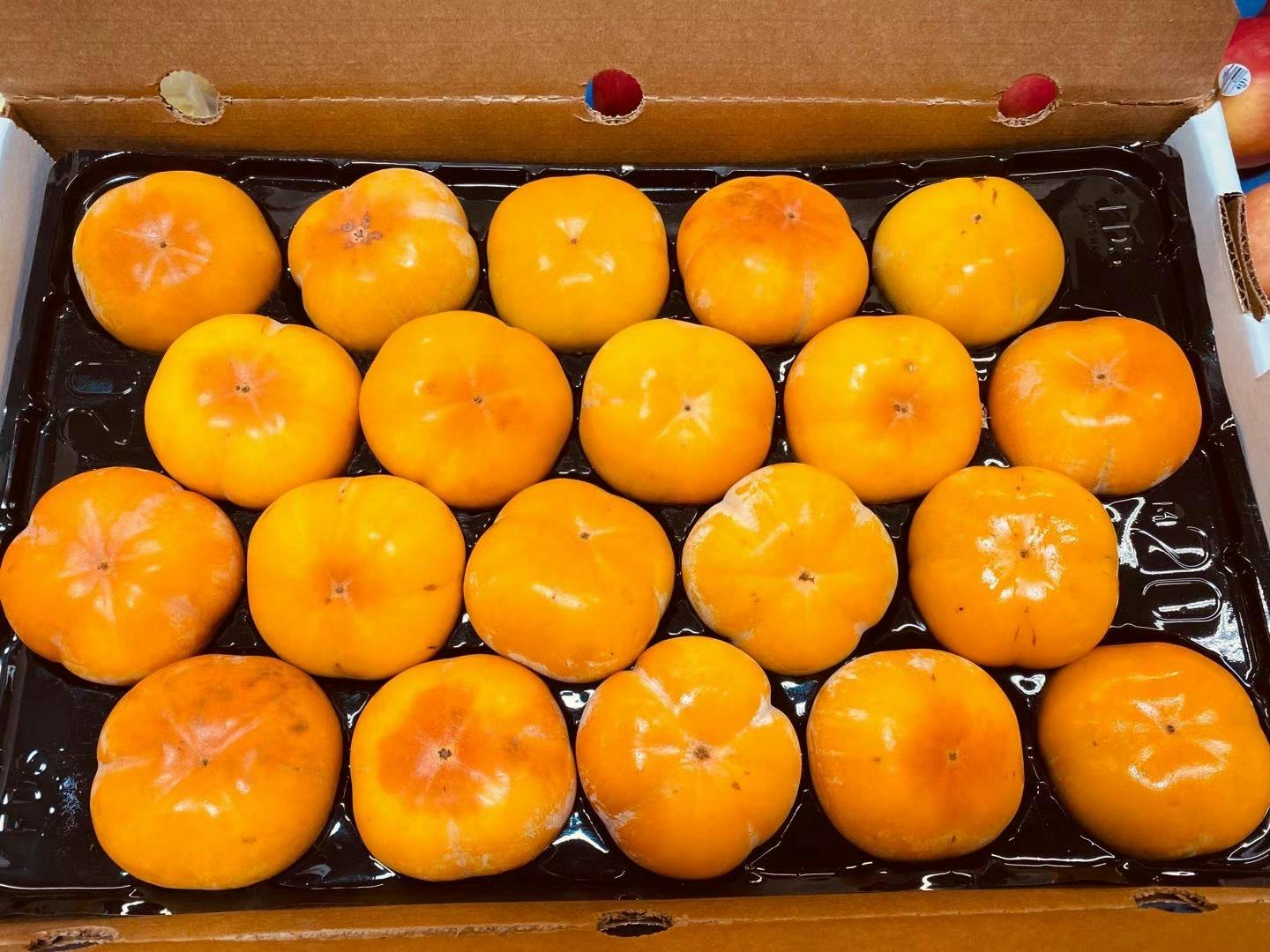 FUYU Large Sweet Persimmon 新鲜 大号 甜脆 水柿 3 counts【本周特价】