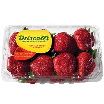 Driscoll‘s Sweet Large Premium Strawberries