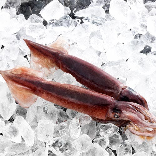 High quality squid from Ogi, Ishikawa 2pcs