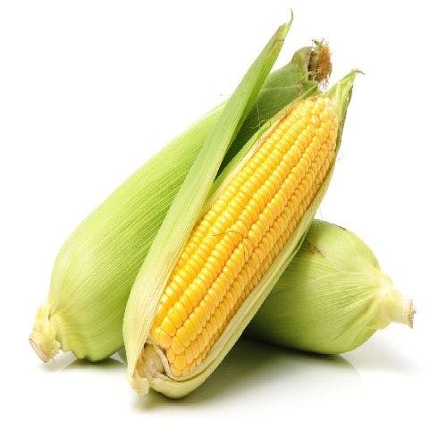 新鲜 玉米 🌽fresh yellow corn  5 counts