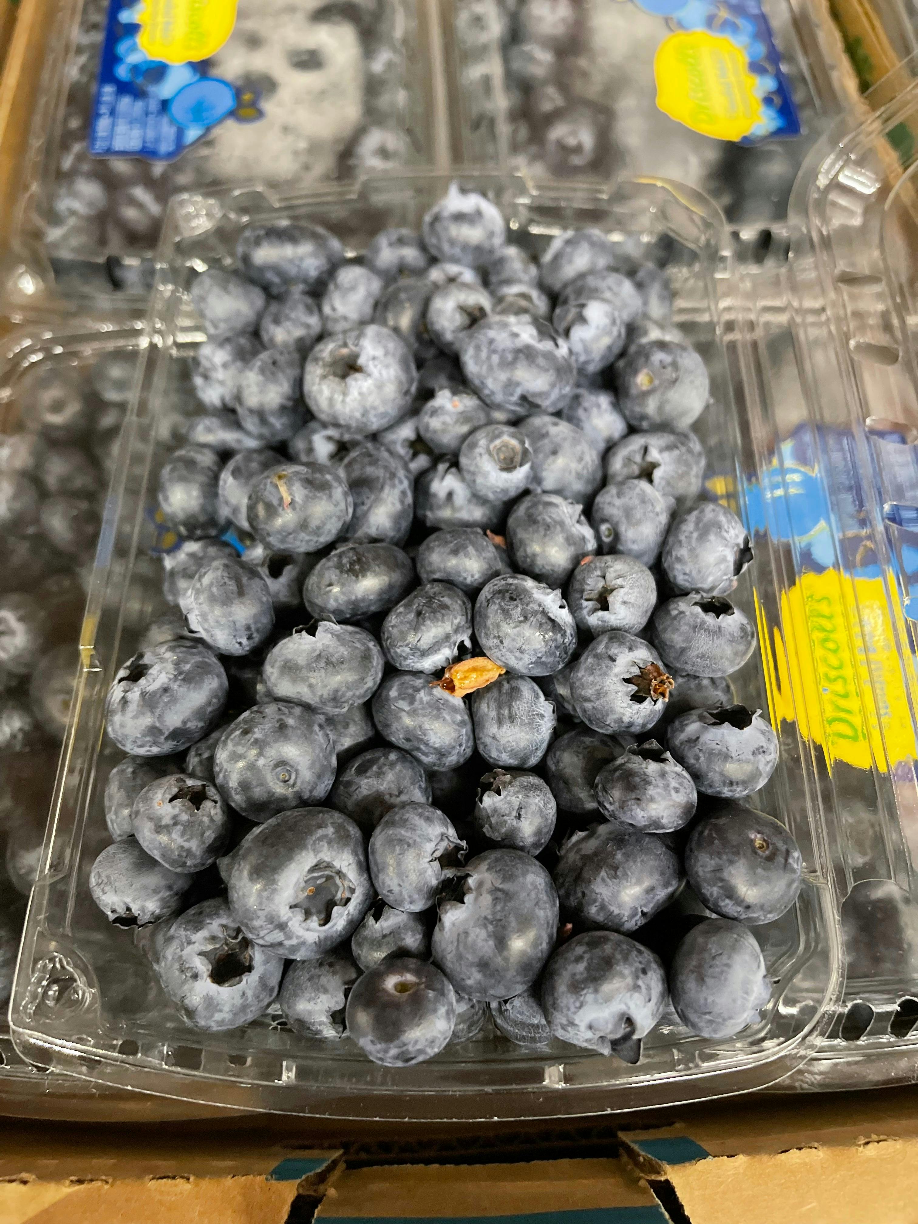 Jumbo size Blueberry 11oz