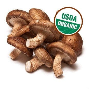 有机 鲜香菇 蘑菇 USDA认证 3.5oz Shiitake Mushroom【蔬】
