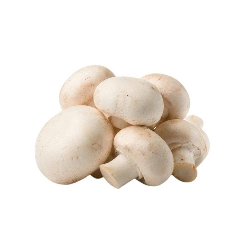 Organic White Mushroom