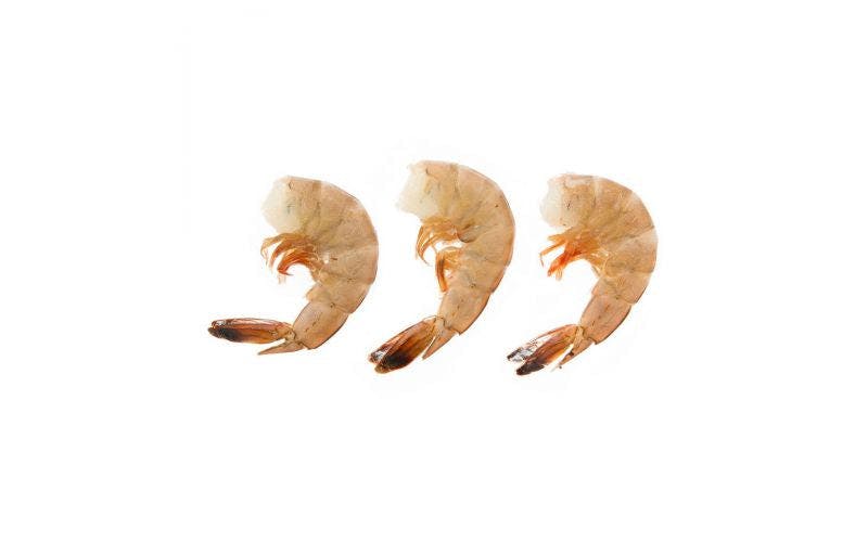 Fresh Atlantic Shrimp w/ shell