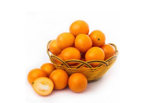 Kumquat 金桔 止咳开胃 调节血压 1 磅